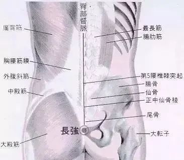 851b1dd7a66369e39a69d6f599953b65