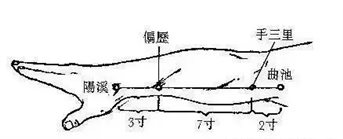57ab666693ae64ff25664621c028f645